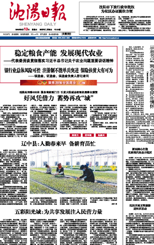 《沈陽日報》